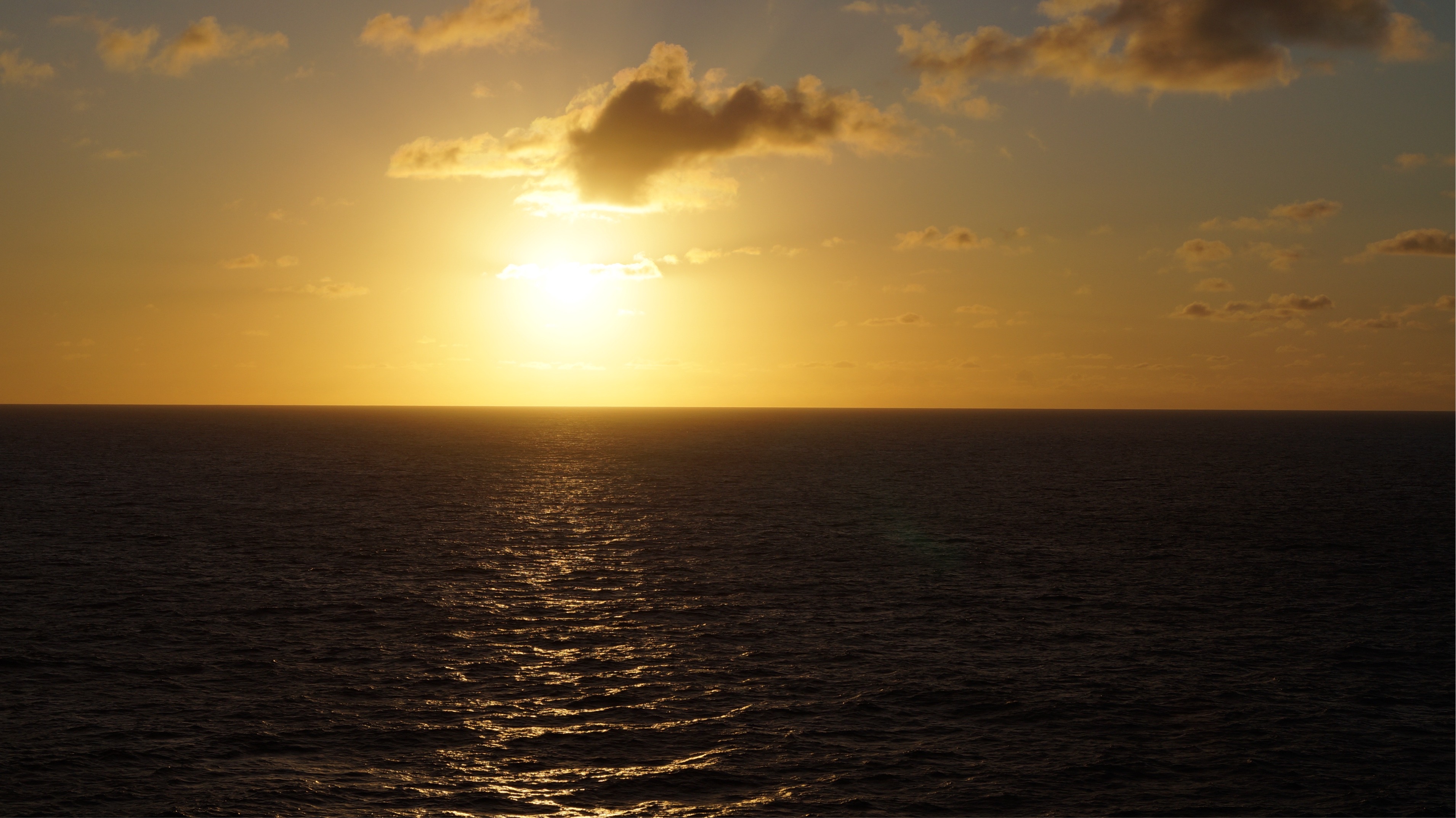F11DE126-B34A-4115-8F88-CD025518A08F.jpeg
